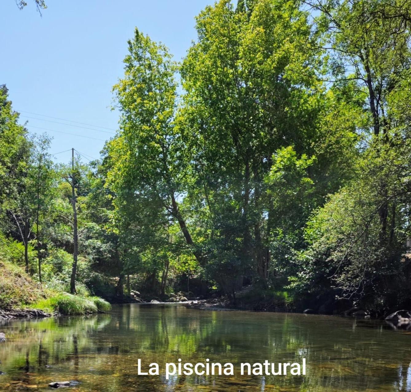El Nial De Los Pinos Ojedo Eksteriør bilde